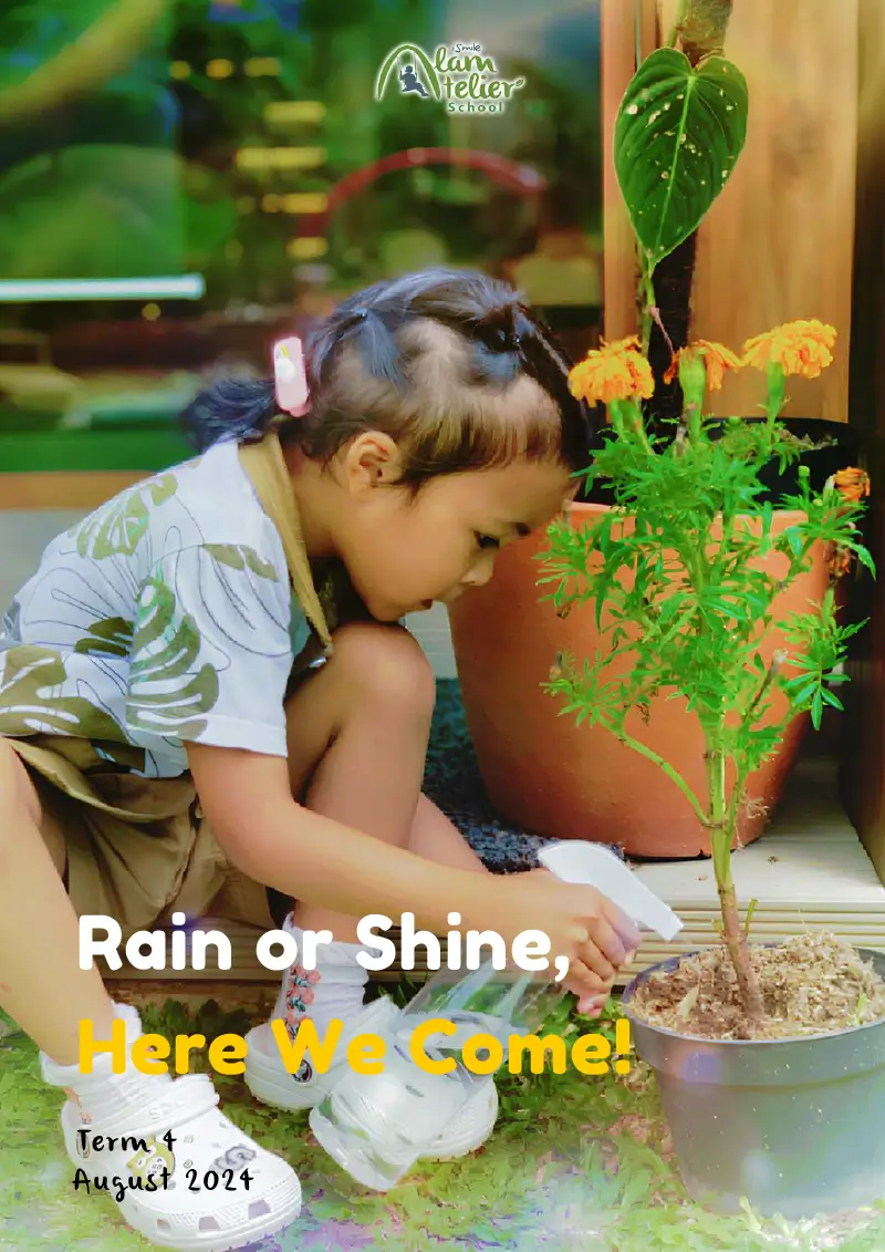 Alam Atelier Newsletter T4 August 2024 Rain or Shine Here we Come